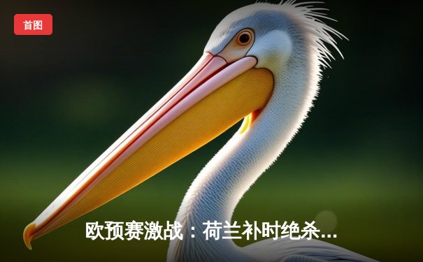 欧预赛激战：荷兰补时绝杀爱尔兰晋级欧洲杯，德佩传射建功